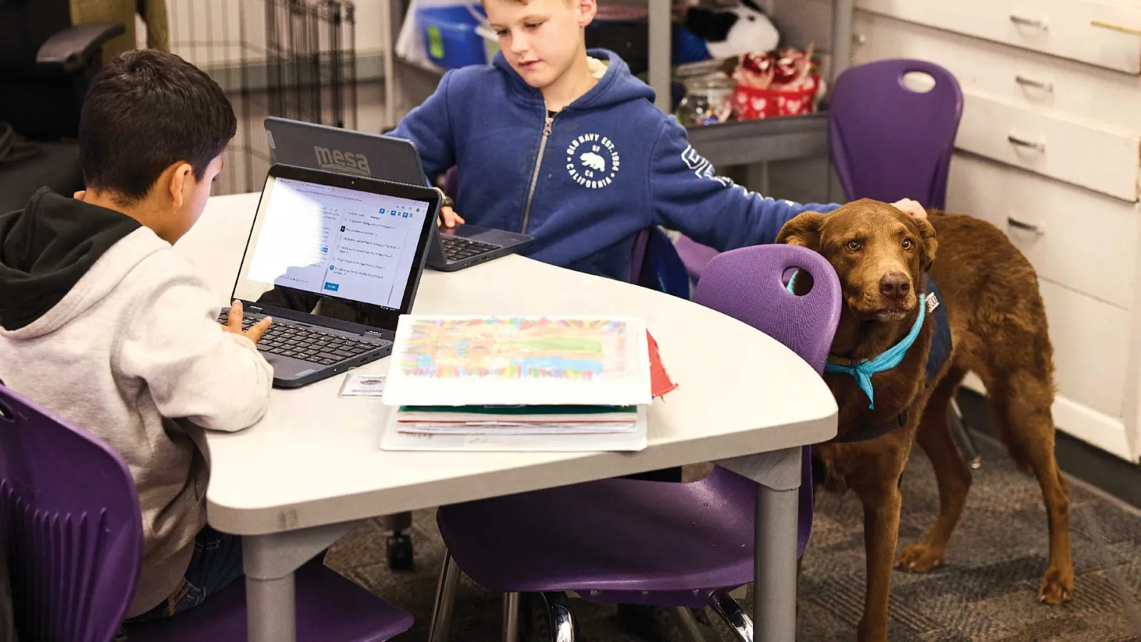 Chocolate Lab Hotch, the canine "co-teacher" being petted by a male student.