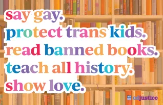 The image is a poster with a faded background of bookshelves. In front of the book shelves it says "say gay. protect trans kids. read banned books. teach all history. show love." in lower case bubble letters, that alternate a different color on each letter.
